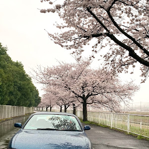 シルビア S14 前期