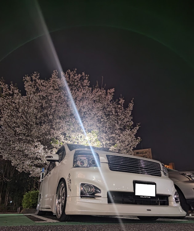 ヴォクシーのサクラと愛車・4月もよろしくお願い致します🌸・G.K.J Style.・光り物にこだわる・愛車の好きな角度に関するカスタム事例の投稿画像1枚目