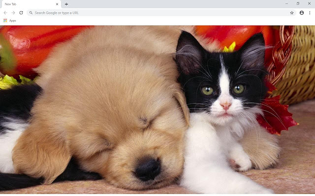 Cute Cats & Dogs Wallpapers and New Tab