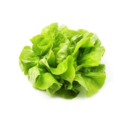 Starfresh Hydroponic Butter Head Lettuce Prepack 1 Pc - 1pc