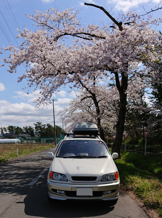 の投稿画像2枚目