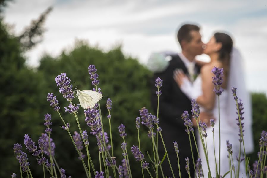 Wedding photographer Zoltán Kovács (zoltankovacs). Photo of 10 July 2016