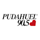 Pudahuel Radio Download on Windows