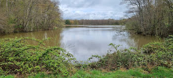 propriété à Saint-Fargeau (89)