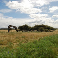 Anche la natura si riposa, Accidia di 