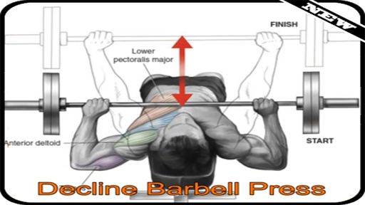 Gym Workout Exercises