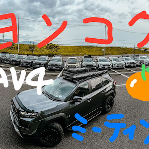 RAV4 MXAA54