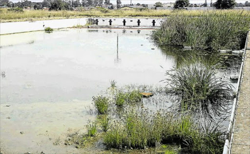 MAJOR REVAMP: The first phase of a R12-million revamping project set aside for the dilapidated Mdantsane swimming pool is already underway Picture: ZOLILE MENZELWA