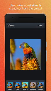 Aplikace Quick Gallery - Photo Editor GU71B1KCRp-V-lIPxAeu14Ipr1hN61voHy73Df9837Xzip83NJoZ8q2H6dxlWhaGv04=h310