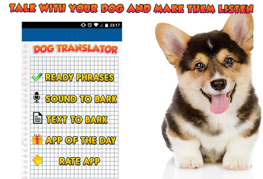 Human to Dog Translator Prank