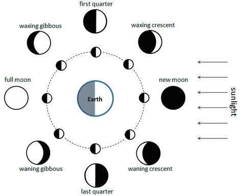 Diagram, schematic

Description automatically generated