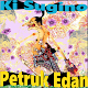 Download Wayang Kulit Ki Sugino: Petruk Edan For PC Windows and Mac 1.0