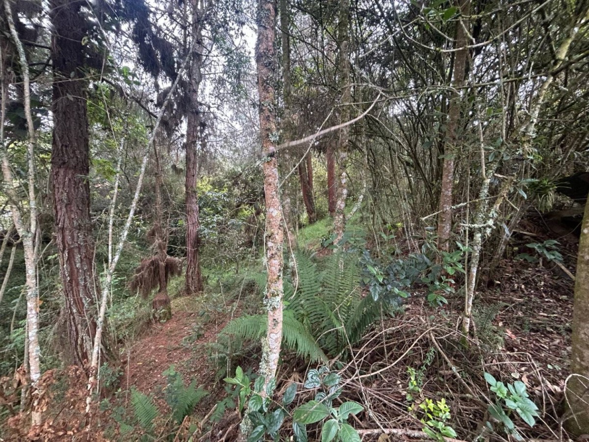 Casalotes En Venta - La Calera, La Calera