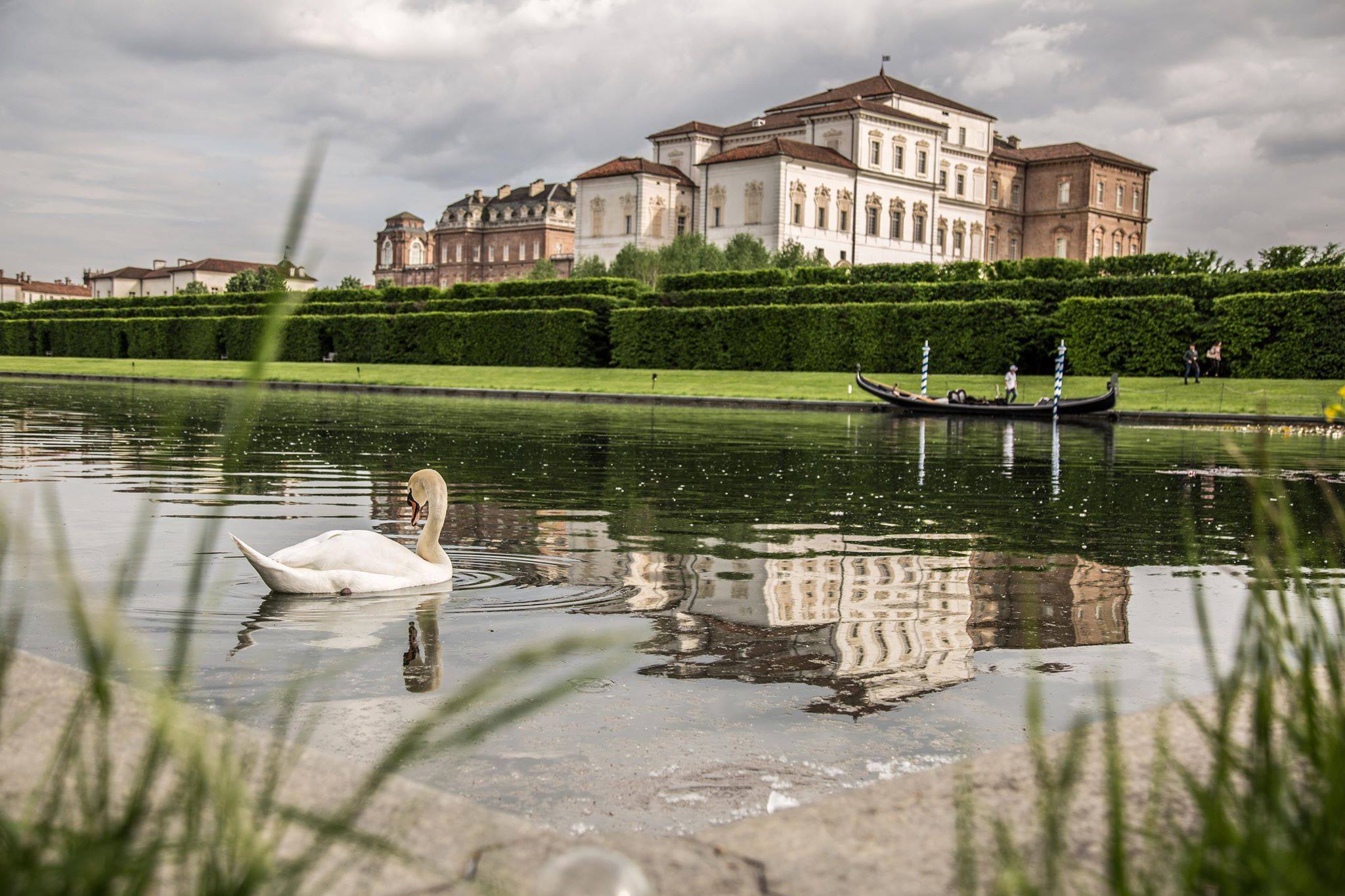 Gondola VS Cigno  di fotopeter