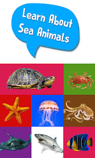 Free Download Learn About Sea Animals APK for PC