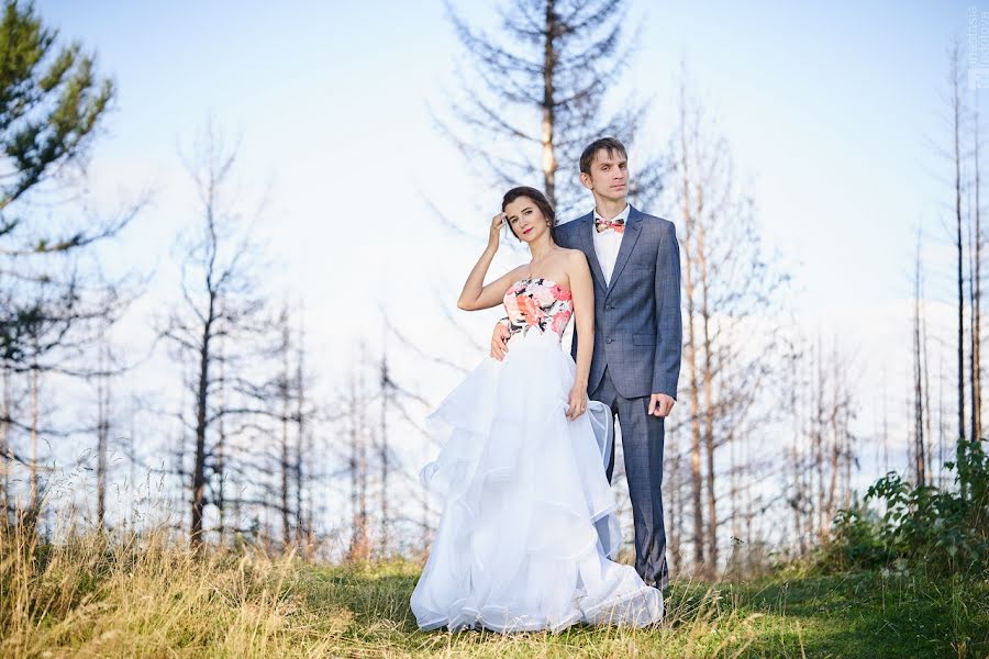 Wedding photographer Anastasiya Fe (anastasiafe). Photo of 30 June 2019