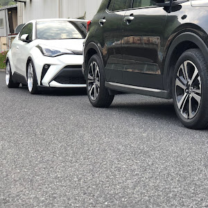 C-HR ZYX11