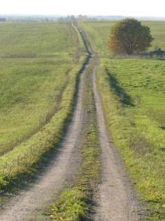 vaade Pangodi mägedele