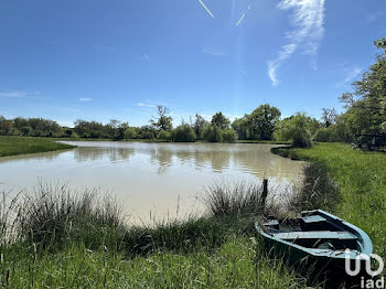 terrain à Migné (36)