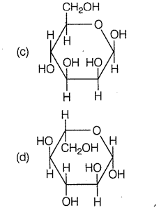 Carbohydrates-Monosaccharides strcuture
