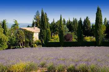 maison à Cheval-Blanc (84)