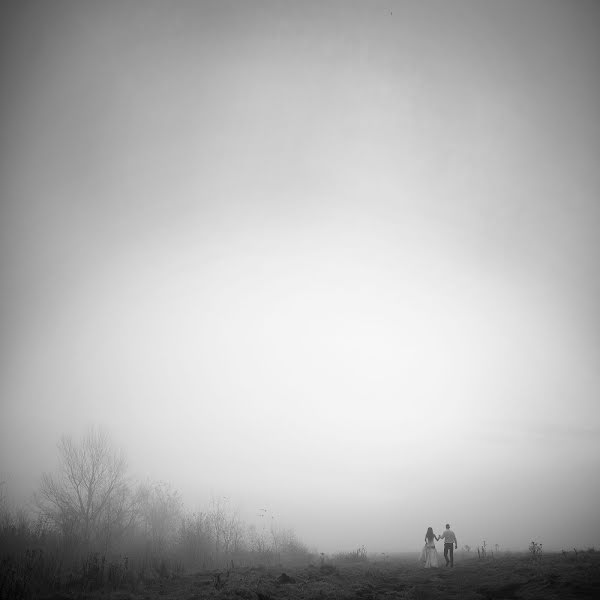 Vestuvių fotografas Rostyslav Kostenko (rossko). Nuotrauka 2013 spalio 29