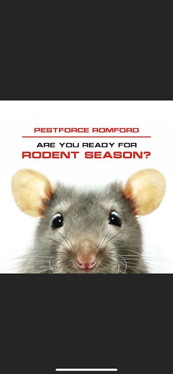 Winter rodent services  album cover