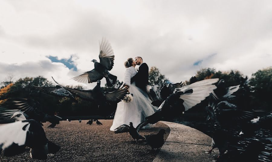 Photographe de mariage Nikita Gusev (gusevphoto). Photo du 19 octobre 2016