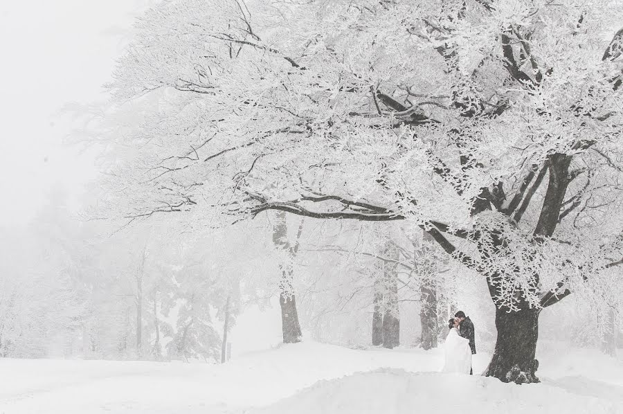 Jurufoto perkahwinan Patryk Wolański (wolanski). Foto pada 2 Februari 2015