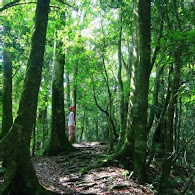 華山好望角庭園咖啡廳