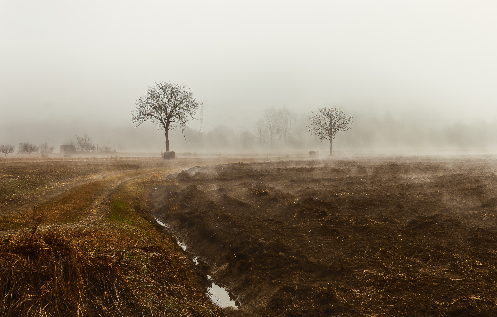 La nebbia è silenzio di Barbara Surimi