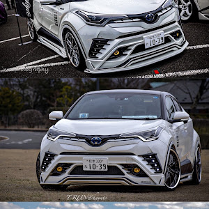 C-HR ZYX10