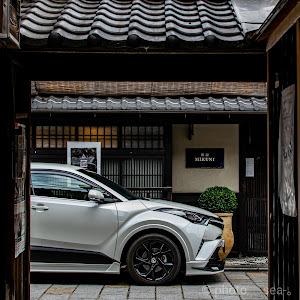 C-HR NGX50