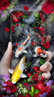玫瑰鯉魚動態壁紙(圖1)-速報App