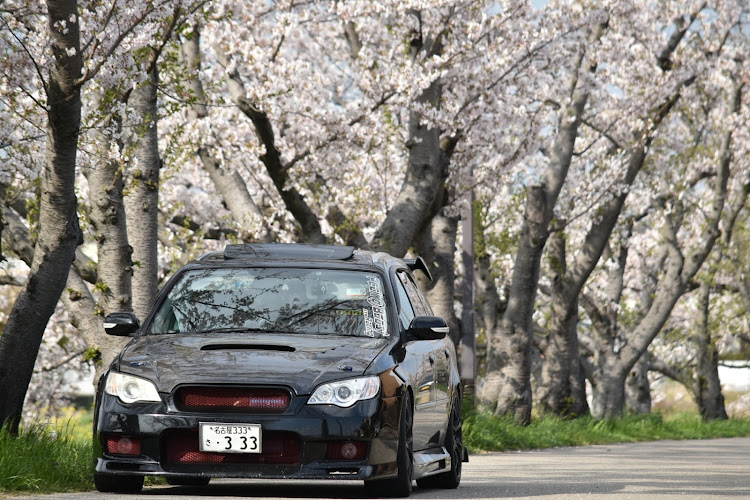 レガシィツーリングワゴンの桜と愛車・息子撮影・カメラマン息子に関するカスタム事例の投稿画像3枚目