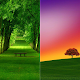 Download HD Colorful Tree Wallpaper For PC Windows and Mac 1.01