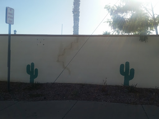 Cactus Murals