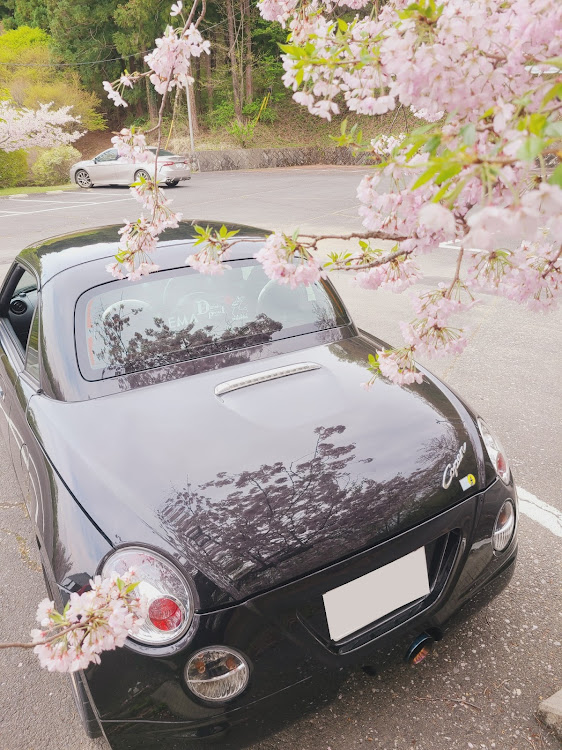 コペンのドライブ・桜・オープンカー・桜と愛車・桜とコラボに関するカスタム事例の投稿画像2枚目
