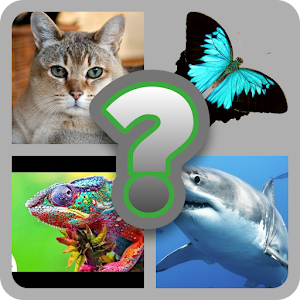 Download ANIMALS QUIZ LOGO For PC Windows and Mac