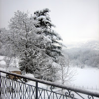 Candido Panorama di 