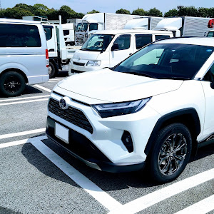 RAV4 AXAH54