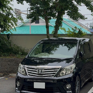 アルファード ANH20W