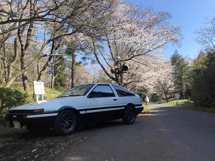 スプリンタートレノの車と桜・ドライブに関するカスタム事例の投稿画像3枚目