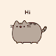 Cute Wallpapers : Pusheen Download on Windows