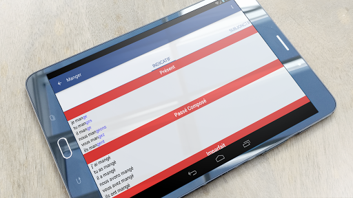 Conjugation french verbs