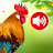 Animal sounds & Bird songs icon