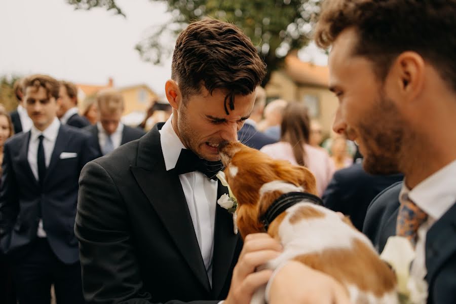 Photographe de mariage Serg Cooper (scooper). Photo du 2 novembre 2023