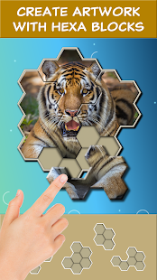 Jigsaw Hexa Block v1.1.4 APK + Mod [Much Money] for Android