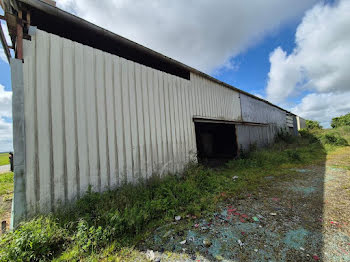 locaux professionnels à Boulay-les-Barres (45)