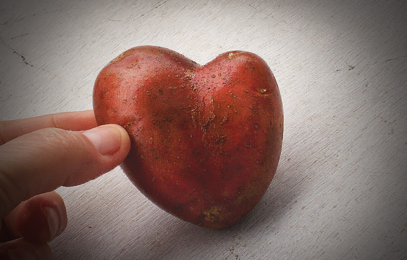 Col cuore in mano di mariarosa-bc